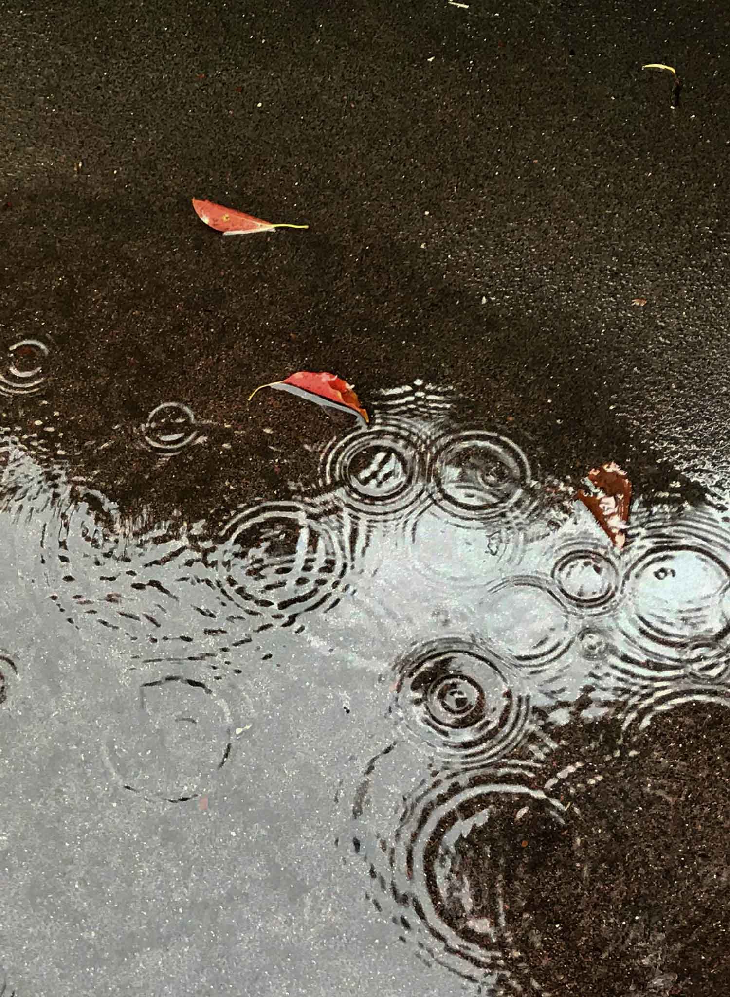 雨のパインレークゴルフクラブ