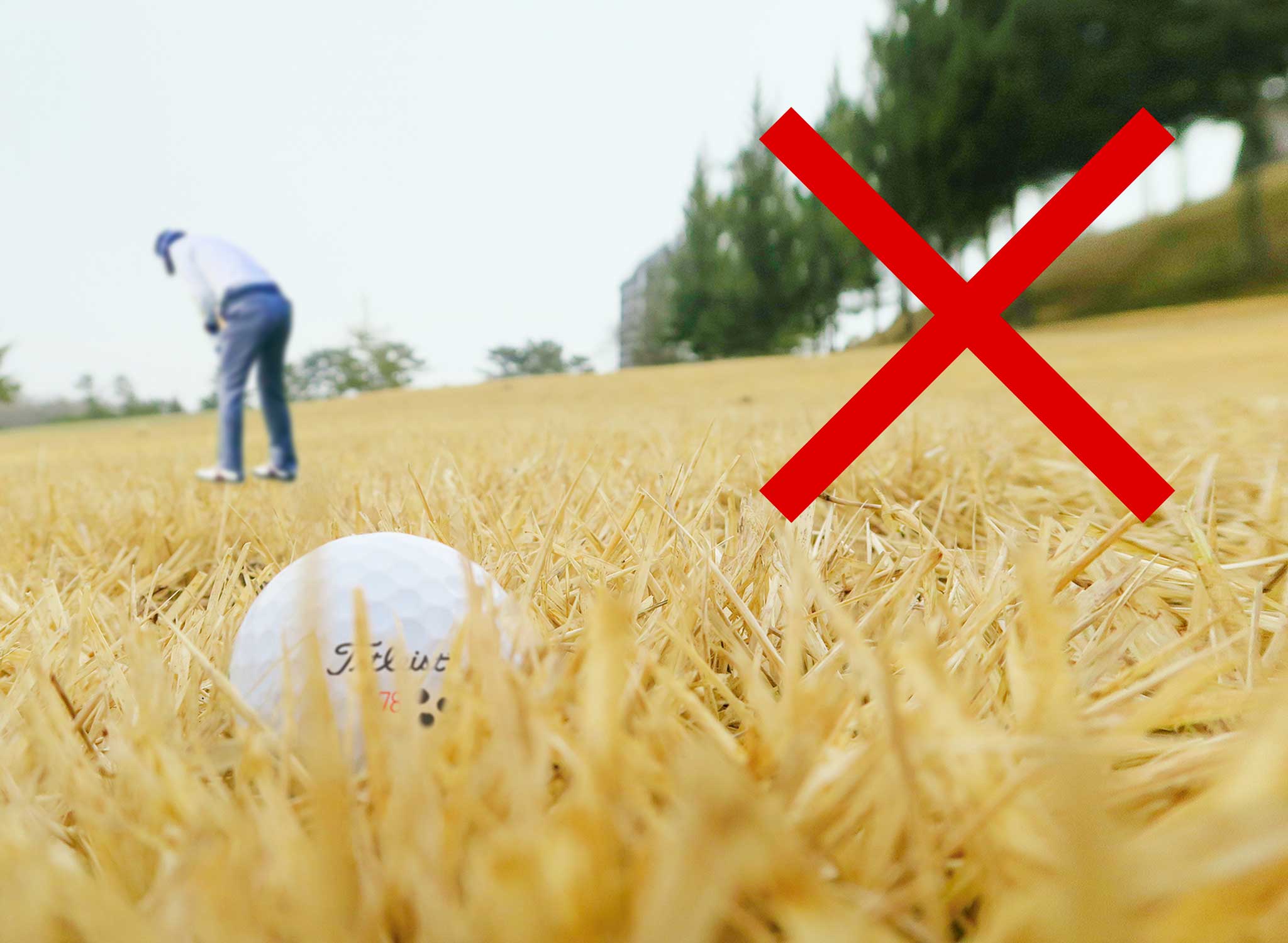 ボールを探す関西ゴルフサークル セブンエイトの男性