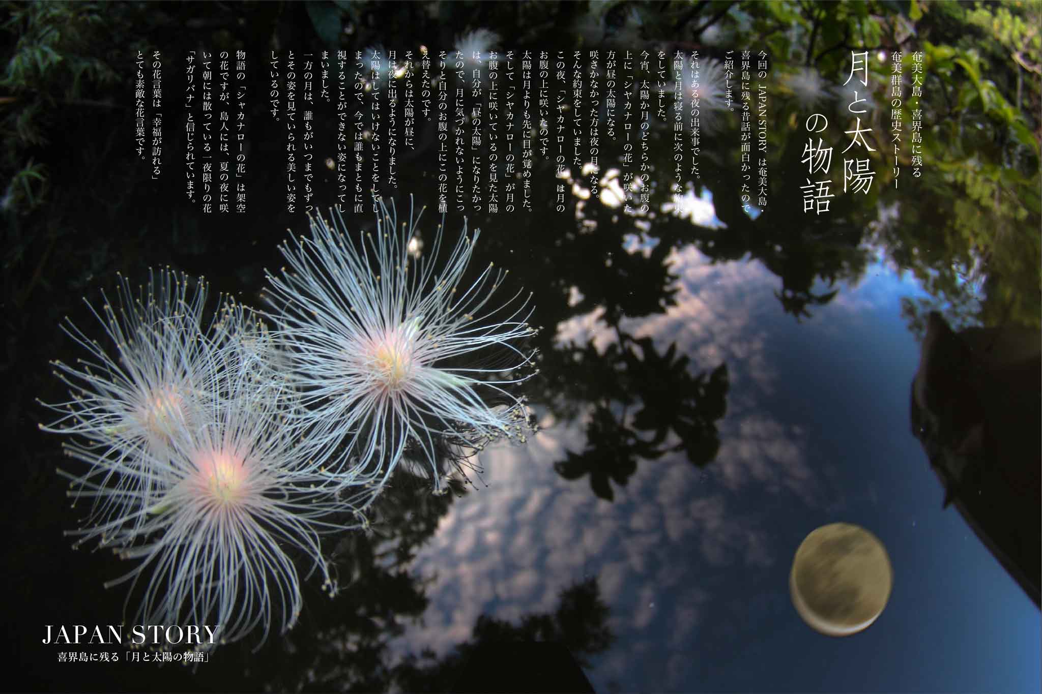 月と太陽の物語2連ポスター2