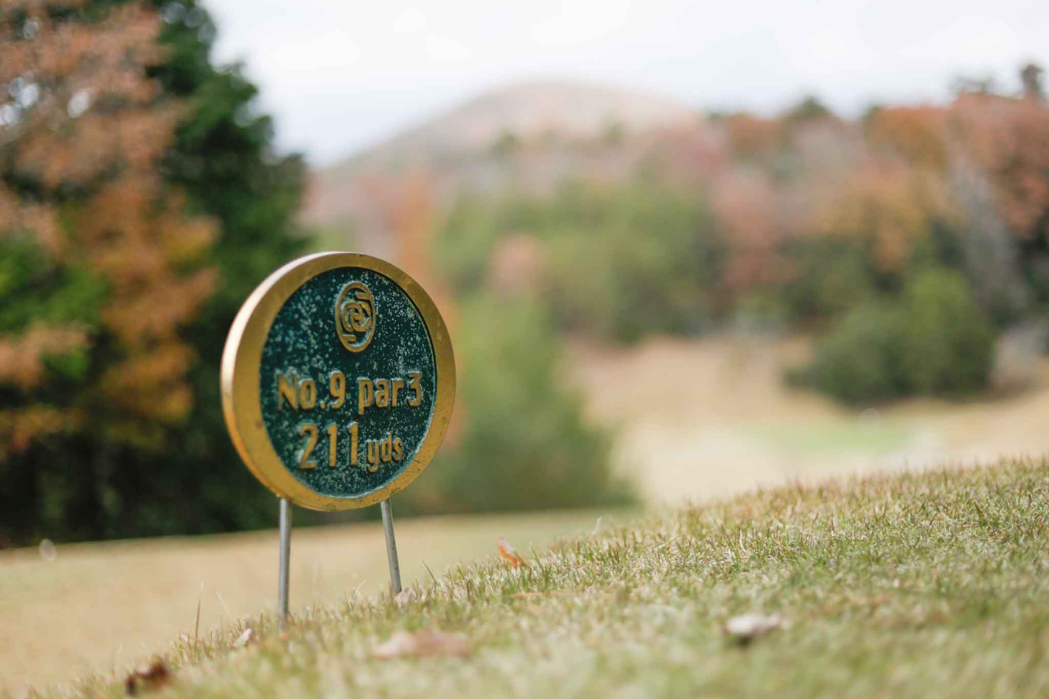 2012年 シングル入りしたハンディキャップ認定書